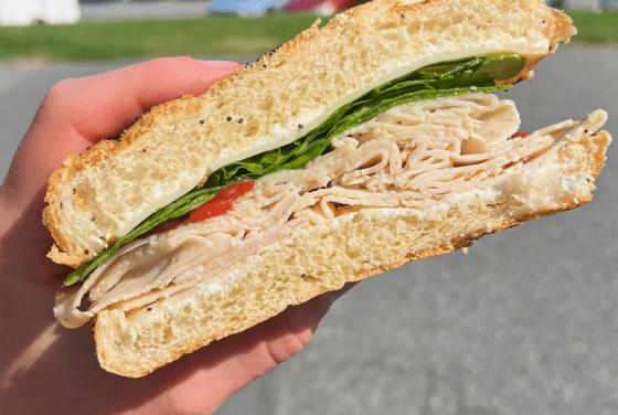 a hand holding a turkey sandwich