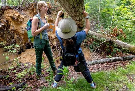 two young women measure a downed tree in the woods while wearing hiking clothes