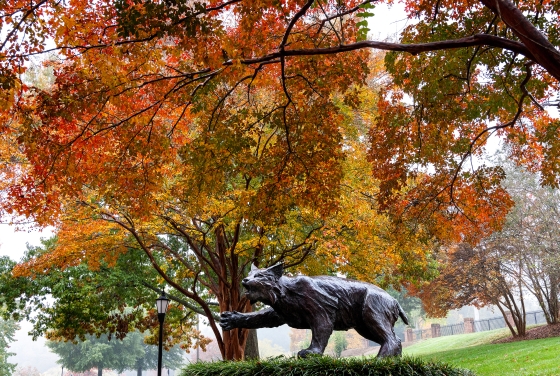 a statue of a wildcat in front of vibrant fall foliage