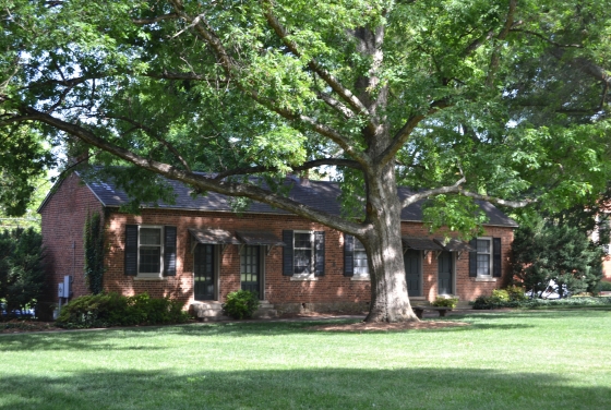 Oak Row building in the historic part of campus