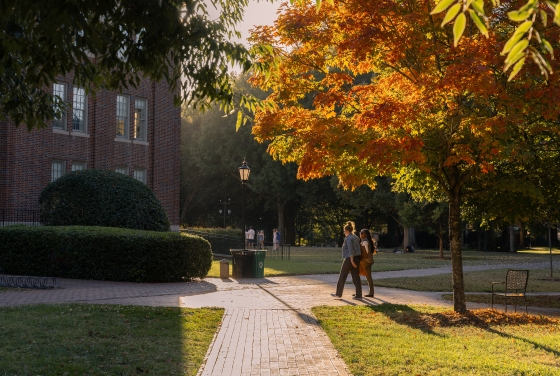 Brick pathways, sunlit colorful trees and students on campus