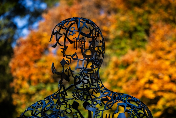 Plensa sculpture in the fall