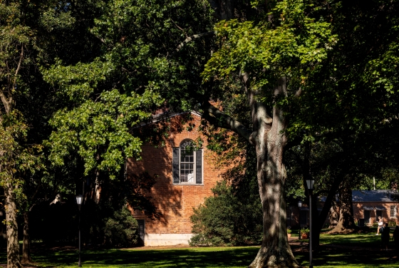 Sunlight filters through dense green trees onto a historic brick building with arched windows nestled on a grassy campus lawn