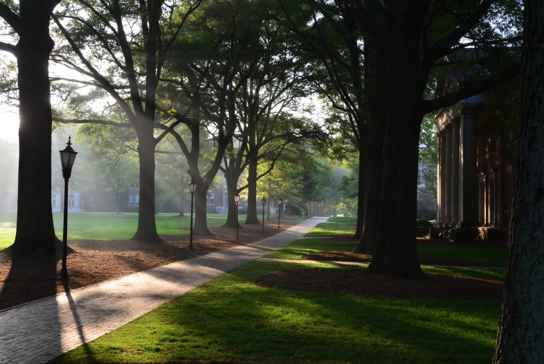 Campus and trees at early morning fog