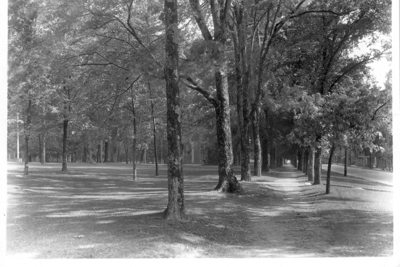 Historic Aerials of Campus