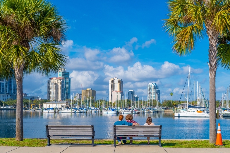 Tampa, Florida View of Skyscrapers and Palm Trees