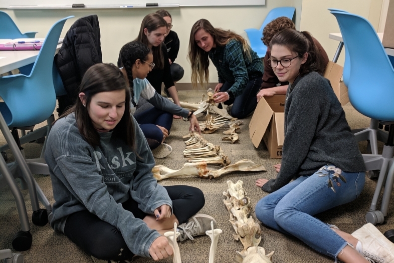 Anthropology students in class with a skeleton