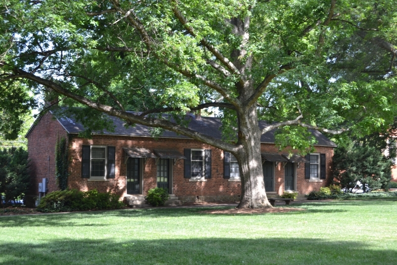 Oak Row building in the historic part of campus