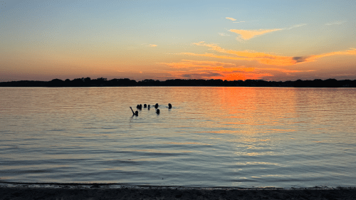 A group of people swimming in a calm lake at sunset under a blue and orange sky, with one person waving their arm above the water.