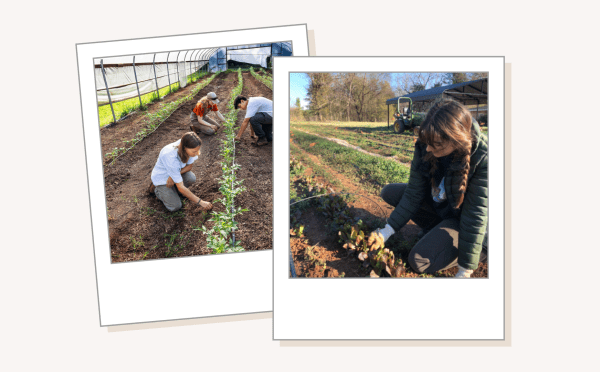 Polaroids of farm students on a tan background