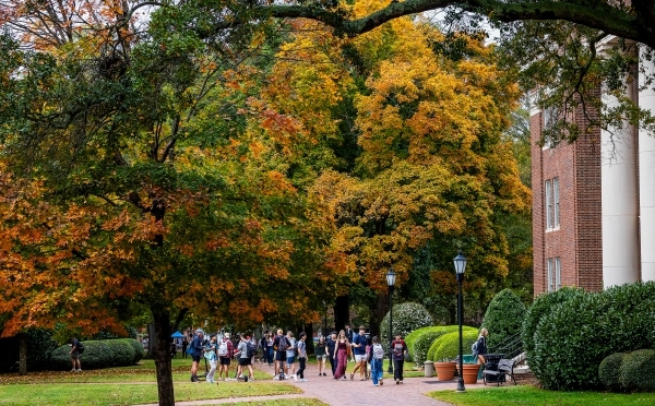 a group of students walk on a college campus in front of a yellow and orange tree
