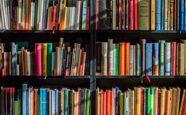 colorful books on a shelf