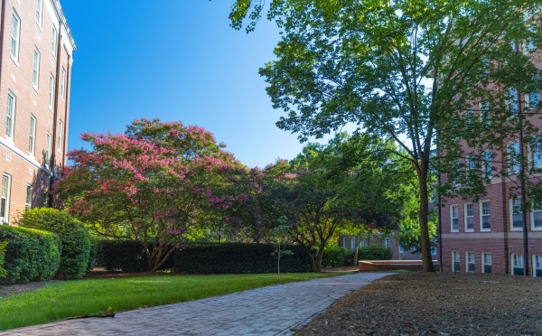 Beautiful Davidson Campus with brick paths and trees
