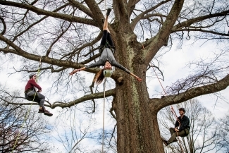 Davidson Outdoors tree climbing demonstration with three students hanging on a tree, one upside-down