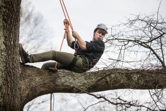 Student Climbs Tree