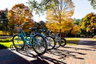 Bike Rack in Autumn