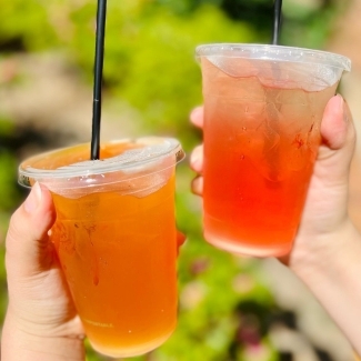 Wildcat den refresher