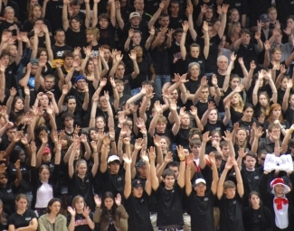 raucous crowd at Basketball game, photo by Giduz