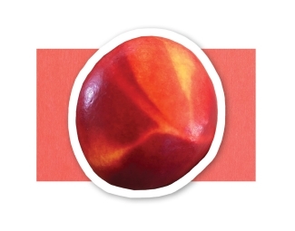 Nectarine
