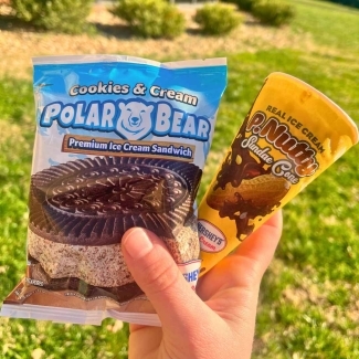 Commons Market Ice cream options