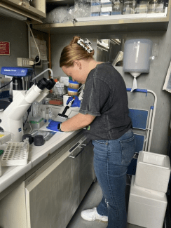 a young woman stands over a lab bench