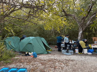 a group of tents on the edge of a woods