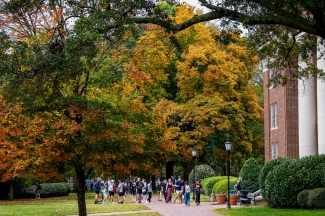 a group of students walk on a college campus in front of a yellow and orange tree