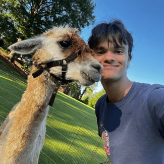 a young man smiling with a llama