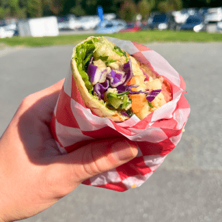 a hand holding a tofu wrap 