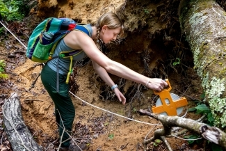a young woman measures a downed tree in the woods