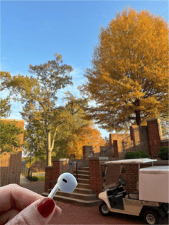a hand holding earphones in front of fall foliage