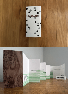 Letterpress artwork of Eucalypt, shown folded (top) and unfolded (bottom)