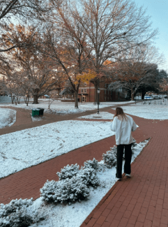 A person in a white sweatshirt walks along a brick path on a college campus lightly covered in snow, surrounded by bare trees and brick buildings.