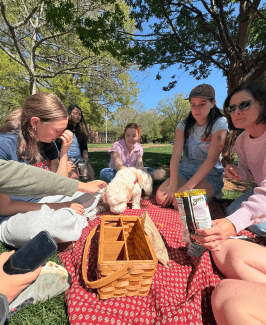 Friends gathering on a red checkered blanket outdoors for a picnic, petting a small white fluffy dog beside a wooden picnic basket.
