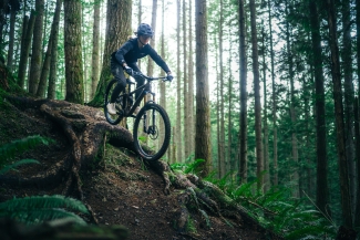 A mountain biker wearing a helmet rides down a steep, root-covered dirt trail in a dense evergreen forest.