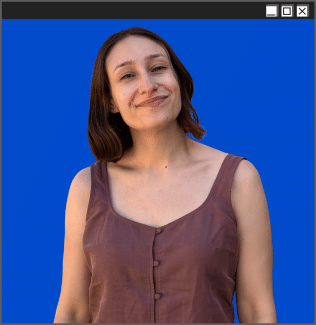 A woman with shoulder length brown hair, a mauve blouse, and a smiling expression on an edited blue computer browser background