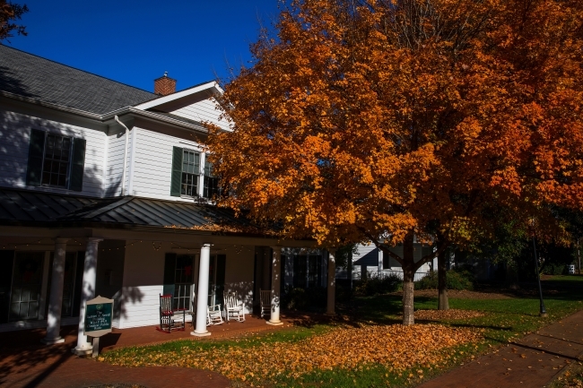 WDAV building on Main Street with orange fall leaves falling from tree