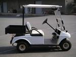 Golf Cart with two seats