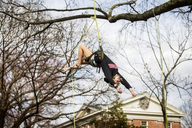 Student jumps backward from tree limb with harness