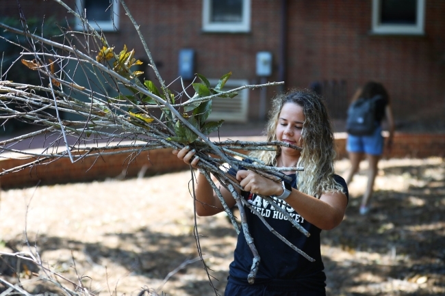 student picking up branches after Hurrican Florence