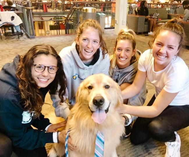 puppy attracts girls with his adorable tie