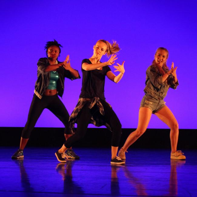 Davidson College Dance Ensemble performed for the Fall 2017 Dance Ensemble Showcase
