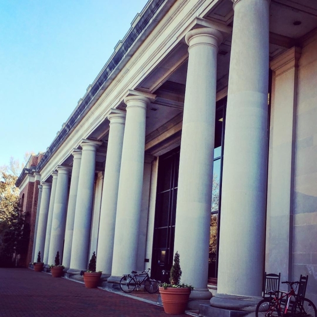 Library facade