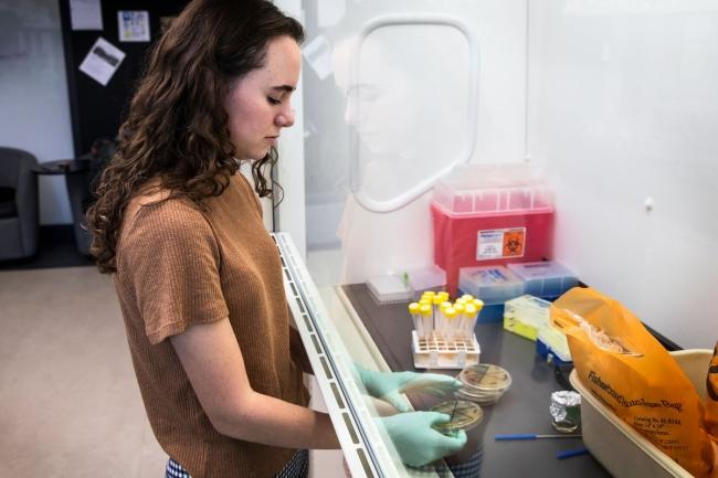 Student researches microplastics that ferry germs around the globe