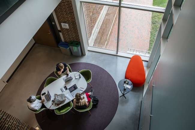 Group of Students Studying in Wall on Laptops