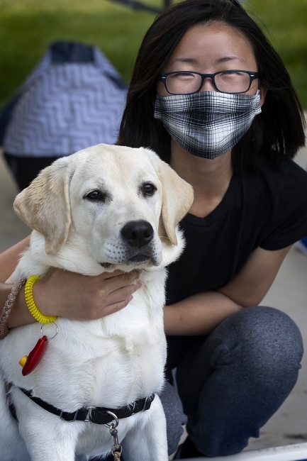 Service dog training with student