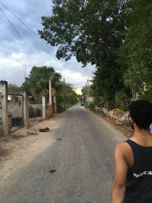 Student on a road in Mexico