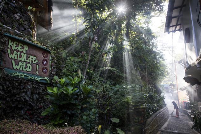 Matt Stirn - Keep Wildlife Wild sign in Gunung Leuser National Park, Sumatran