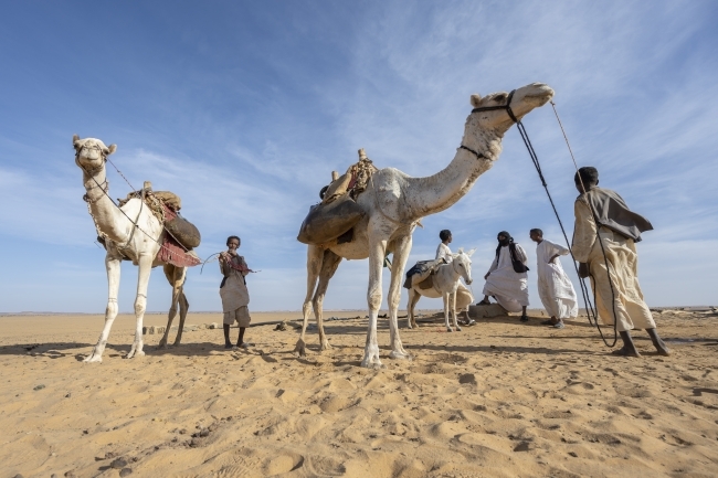 Photo by Matt Stirn - Nomadic family heads into the Bayuda Desert on camels