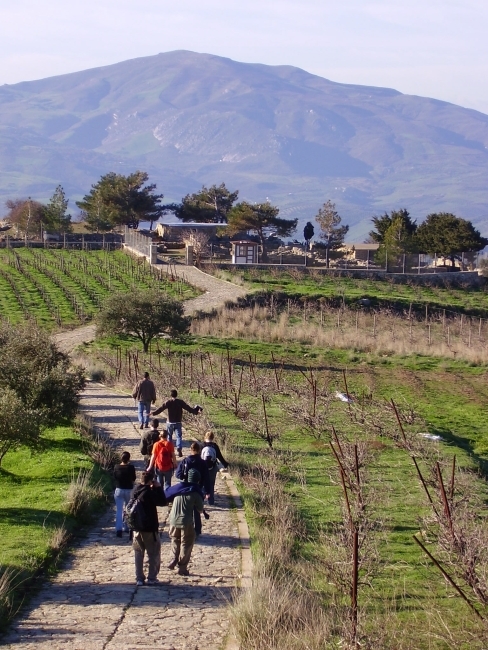 Students walking to Vathypetro, Greece